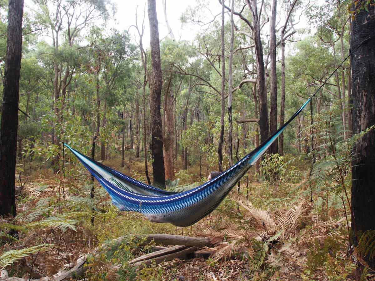 Woman relaxing in hammock in a forest in Australia